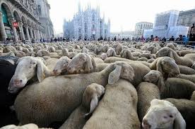 Bela Italia,l’evoluzione della pastorizia