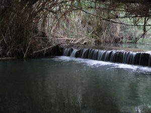 La scoperta dell’acqua calda